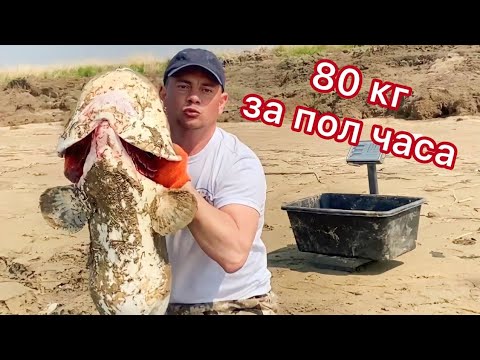 Видео: СОМ на КИРПИЧ! Или как поймать СОМА? ПРОВЕРКА!(часть 2)