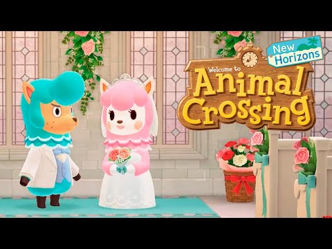 Видео: Animal Crossing | Свадебная фотосессия | Прохождение №24