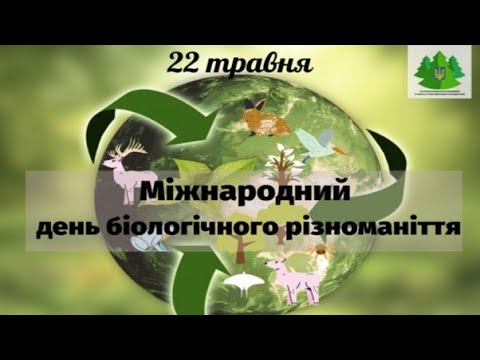 Видео: 22 ТРАВНЯ - МІЖНАРОДНИЙ ДЕНЬ БІОЛОГІЧНОГО РІЗНОМАНІТТЯ