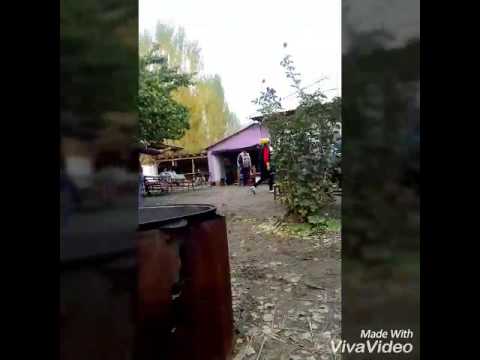 Видео: Айтамга1994 Полот пата той