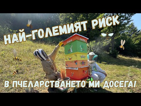 Видео: НАЙ-НЕВЕРОЯТНОТО ОБЕДИНЕНИЕ НА ДВЕ ПЧЕЛНИ СЕМЕЙСТВА – Поемам невъобразим риск