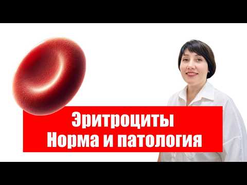 Видео: Эритроциты. Норма и патология.