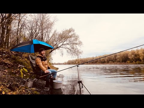 Видео: Осінній фідер на Десні 🎣.Плітка і не  тільки …😆Рибалка у кінці жовтня 2025 з цікавим уловом .