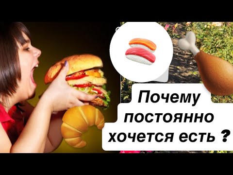 Видео: Почему все время хочется есть? Почему мы переедаем. #сарамон #лишнийвес #психосаматика 