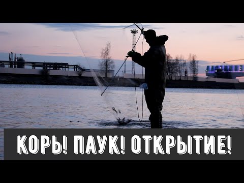 Видео: КОРЮШКА НА ПАУК!!! Открытие!!!