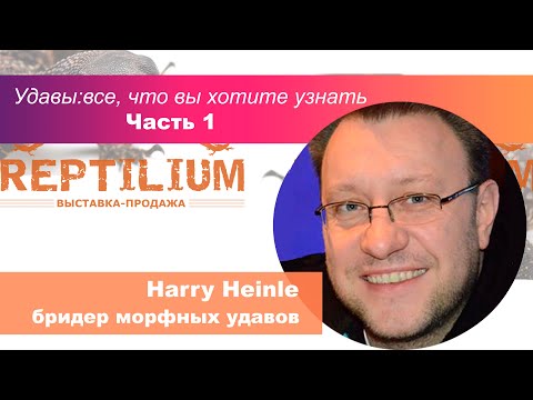 Видео: Удавы  все, что вы хотите узнать. Часть 1