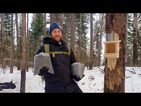 Видео: Птицы в шоке! Установка кормушек на Таёжной тропе. День 4