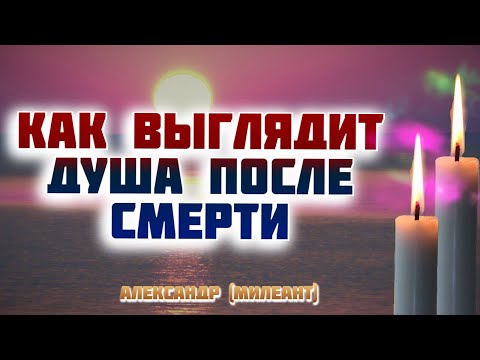 Видео: Душа: куда уходит она после смерти? Eпископ Александр (Милеант)