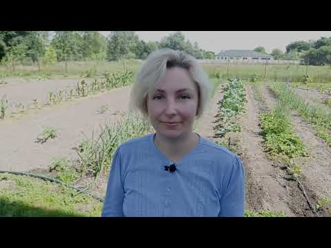 Видео: Мульчування грядок травою. Навіщо мульчувати та як я мульчую?