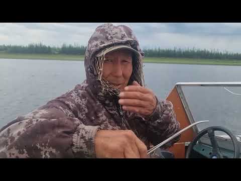 Видео: Мэйик сайыҥҥы олоҕо 2023