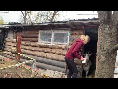 Видео: ☀ Моё обычное деревенское утро! Живу одна на краю села.