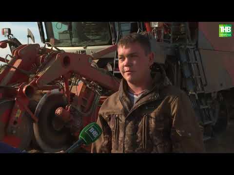 Видео: Туган җир 22/09/23