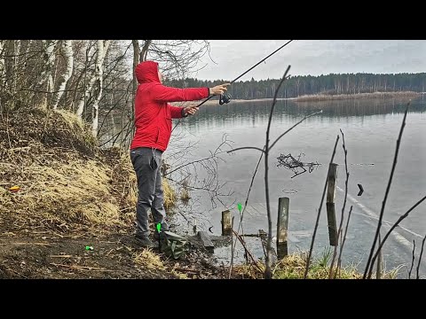 Видео: Рыбалка на озере Мазуринское. Донка.