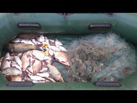 Видео: БРАКОНЬЕРЫ. 2018