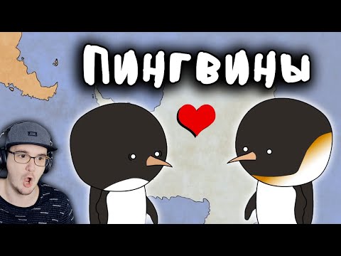 Видео: Пингвины - СТРАННЫЕ ► Мудреныч (Добро пожаловать в Антарктиду) | Реакция