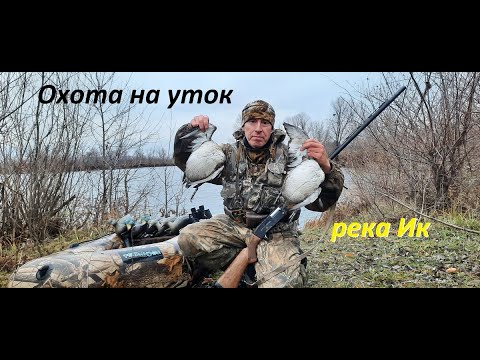 Видео: Охота на утку в татарстане.