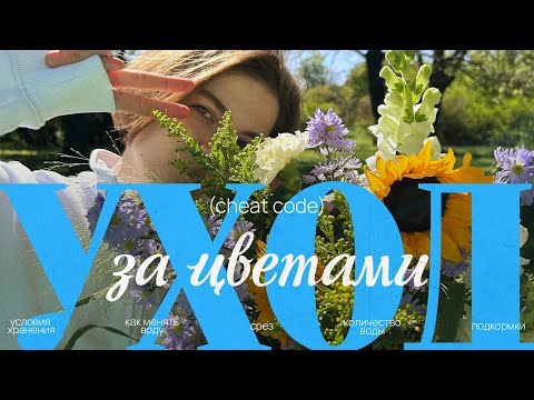Видео: Уход за срезанными цветами: секрет долговечности букетов