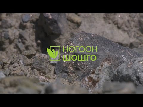 Видео: Ногоон шошго