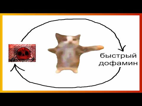 Видео: тикток с быстрым дофамином | подборка мемов