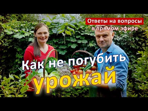 Видео: Делай ТАКъ и будешь с урожаем!