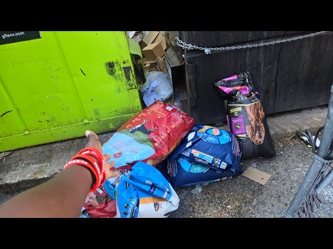 Видео: Мусорный контейнер переехал сотрудника, который снова оставил ворота открытыми!!! 🔓 😎 😮 #dumpster...