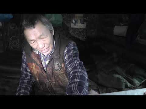 Видео: Жарим мясо сохатины на завтрак. Песня от Петра Романовича к 23 февраля.