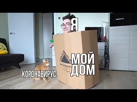 Видео: МУД Брайн Мапс #2