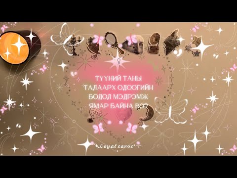 Видео: 💗🤍💗 Түүний таны талаарх одоогийн бодол мэдрэмж ямар байна вэ? 💗🤍💗/Нэмэлттэй/