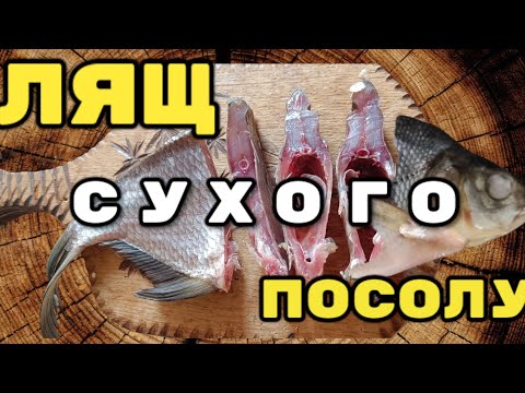 Видео: Найкращий Рецепт В'яленого ЛЯЩА. Сухий посол . Секрети засолки 🐟🇺🇦 #fishing #рибалка #лящ #тарань