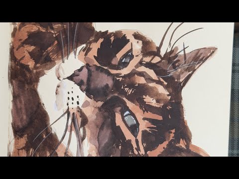 Видео: Обзор заполненного котобука 😻