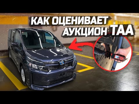 Видео: Аукцион Тойоты уже не тот!?Как оценивает аукционный дом TAA | PRIORITY AUTO