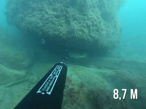 Видео: Подводная охота Чёрное море б. Инал #spearfishing #подводнаяохота #горбыль