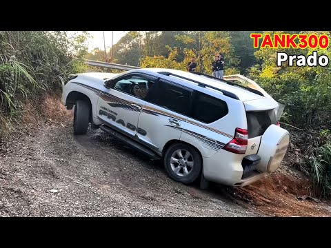 Видео: Китайский 4Х4 по бездорожью: Тойота Прадо ВСТАНК300, ТАНК300 упал в лужу! #offroad #Toyota