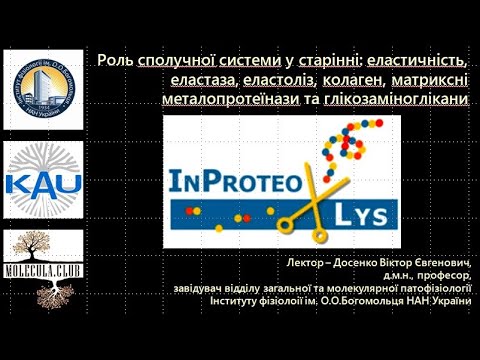 Видео: Молекулярні механізми старіння: протеостаз 1 частина