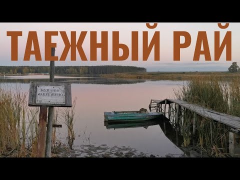 Видео: Таежный Рай - Усть-Алеус, Антоново - Деревни Сибири. Брошенный пароход на Оби.