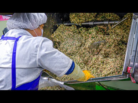 Видео: Это не фабрика пельменей! Самый знаменитый пельменный ресторан в Корее