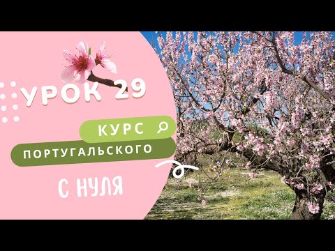 Видео: Урок 29. Курс португальского. P.P.S. vs. Imperfeito