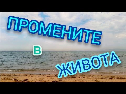 Видео: ПРОМЕНИТЕ в ЖИВОТА + ТЕХНИКА | @ВЕКТОР