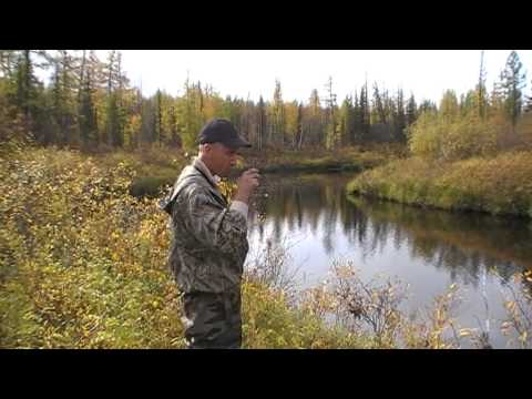 Видео: Никольский Константин "Прошедший День"