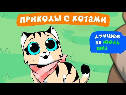Видео: Приколы с котами. ЛУЧШЕЕ ЗА ИЮЛЬ 2023 | Мемозг