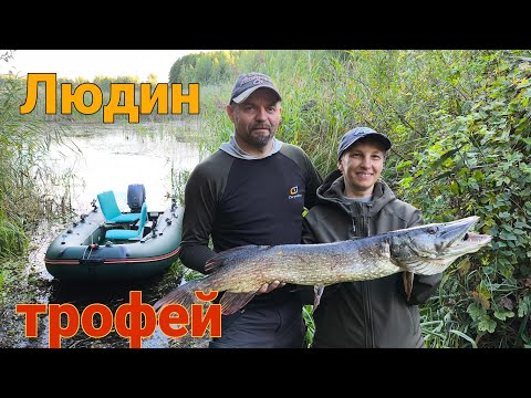 Видео: Трофейна щука у дружини