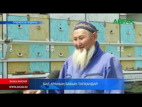 Видео: 24.08.2021 ж. Бал араның бабын тапқандар