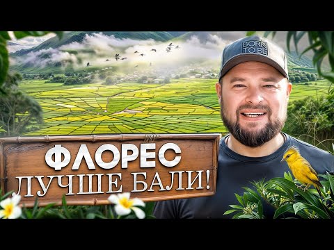 Видео: ПОЧЕМУ ВСЕ ЕДУТ НА ФЛОРЕС? Уникальные Рисовые Поля и ИДЕАЛЬНЫЙ Маршрут Через Лабуан-Баджо