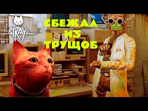 Видео: САМЫЙ ОПАСНЫЙ ПОБЕГ КОТА - Stray #4