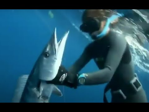 Видео: Подводная охота: Tampa _1 / Florida