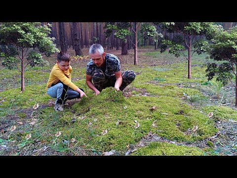 Видео: Маскировка землянки😀 Первая ночевка🛏
