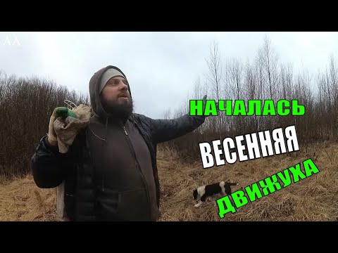 Видео: НАЧАЛСЯ СЕЗОН РАБОТЫ. ЭЛЕКТРОПАСТУХ ДЛЯ СВИНЕЙ. ВЕСНА 2020,