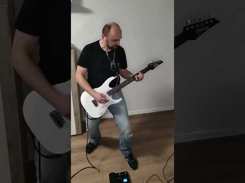 Видео: КиШ - Лесник (2Guitar Cover)