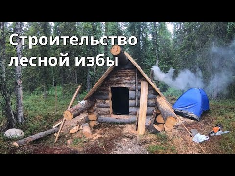 Видео: Лесная изба "глухариная" строительство.Жизнь в тайге. №2