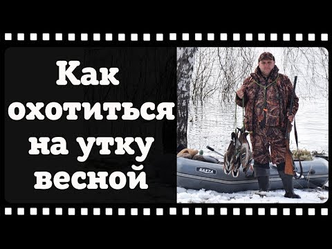 Видео: Как охотиться на утку весной и в чем секрет успешной охоты.